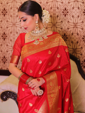 Floral Red Banarasi Saree with Contrast Border