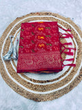 Rajsi Vanya Banarasi Saree - PINK