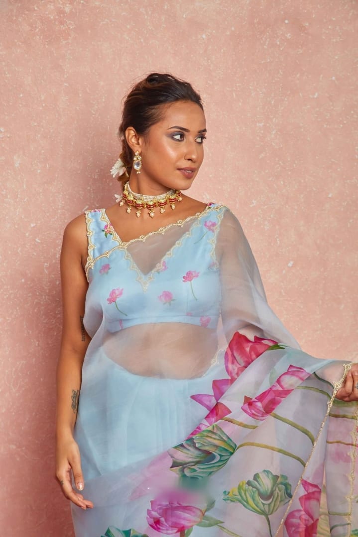Pure Organza Silk Hand-Embroidered Saree sky