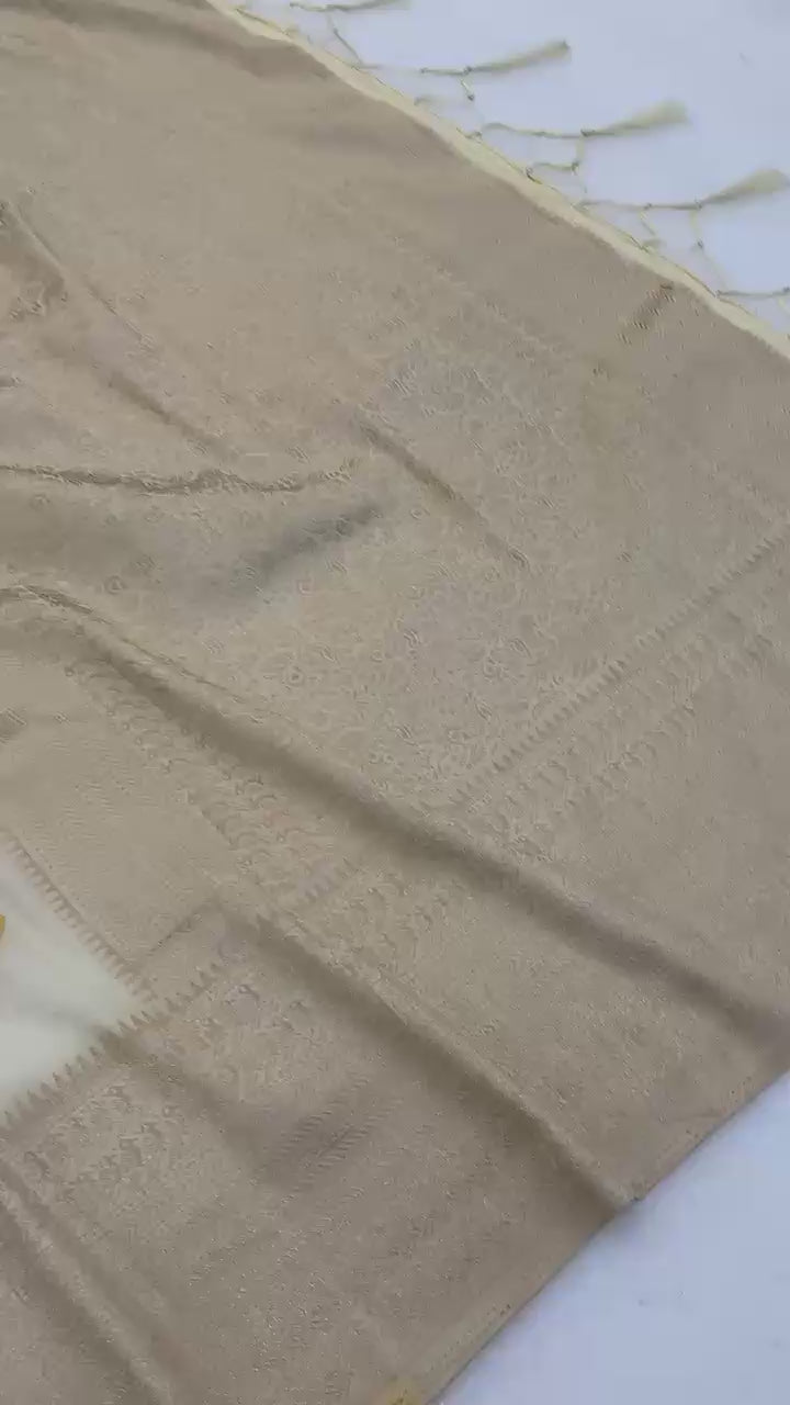 Pure Hand-Dyed Nylon Kadi Crepe Georgette Meenakari Jacquard Saree - WHITE